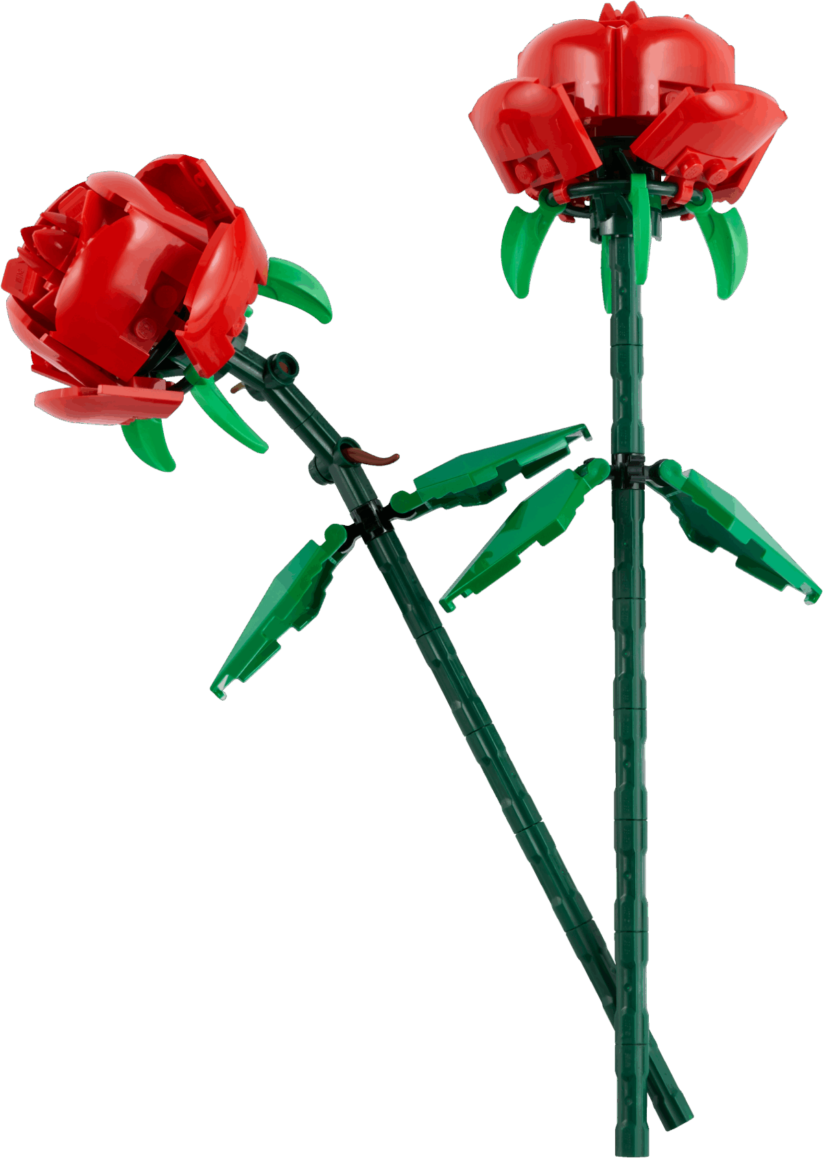 LEGO კონსტრუქტორი ICO ROSES