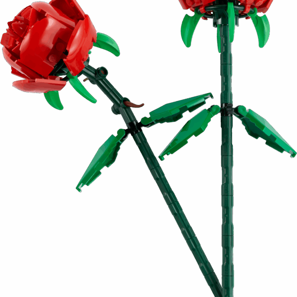 LEGO კონსტრუქტორი ICO ROSES